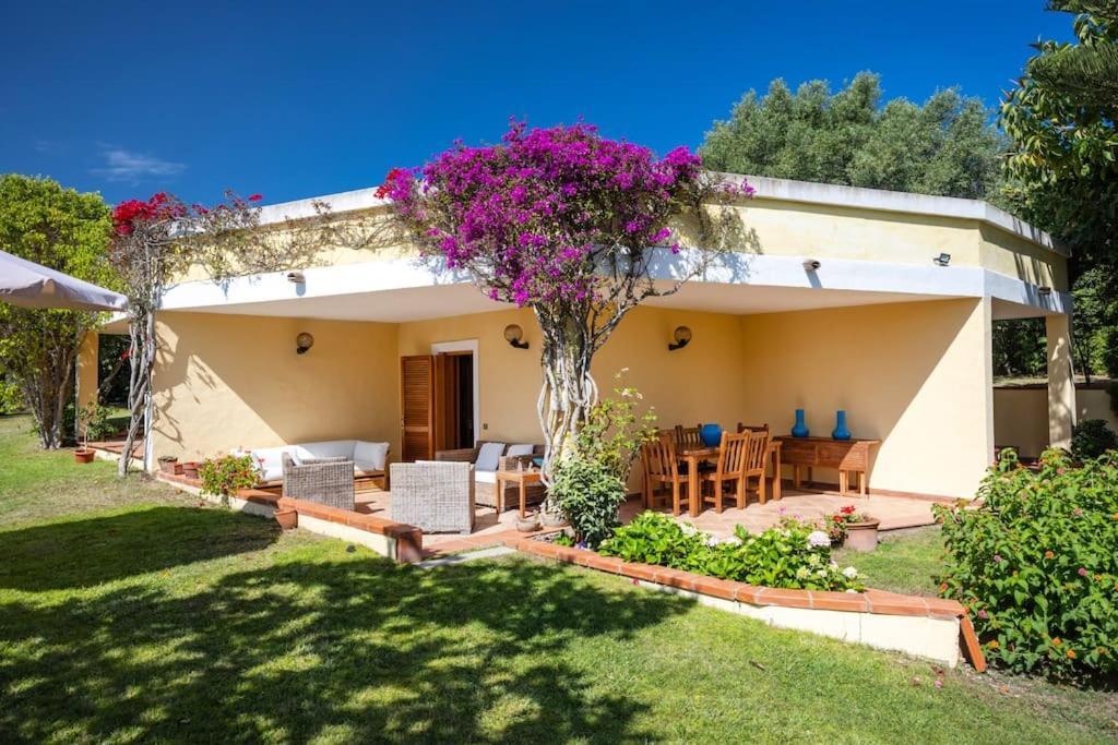Superb Nature -panoramic Sea View & Jacuzzi- Villa Olbia