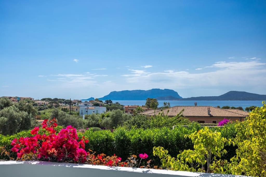 Villa Superb Nature -panoramic Sea View & Jacuzzi- Olbia