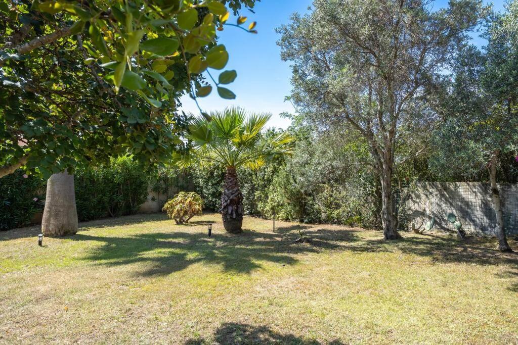 Superb Nature -panoramic Sea View & Jacuzzi- * Olbia